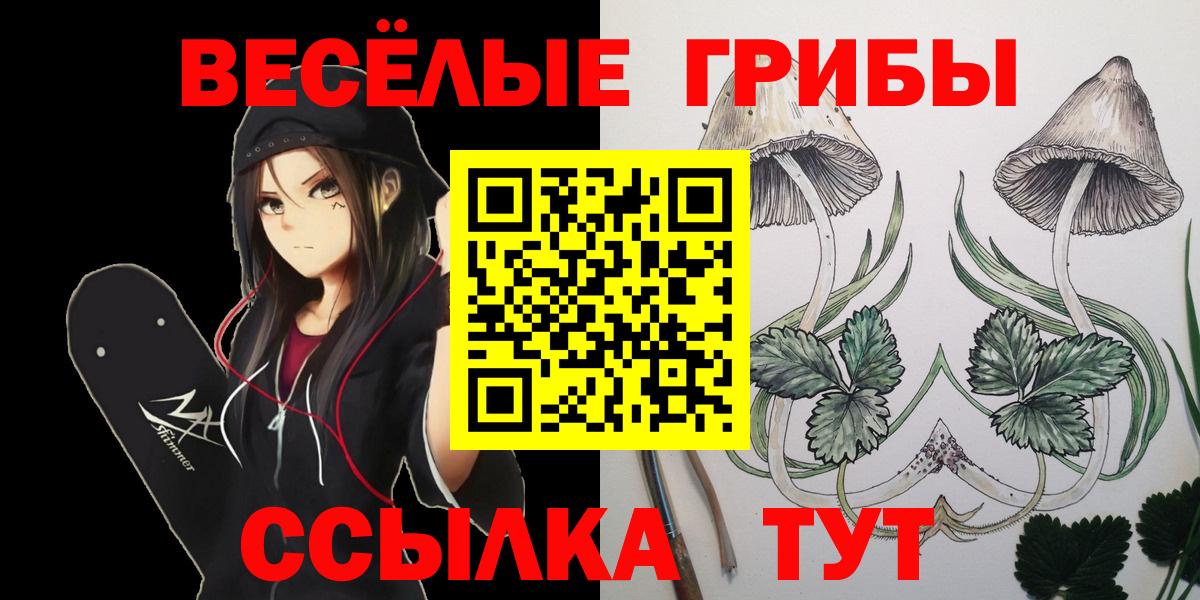 Псилоцибиновые грибы Cubensis Новоуральск