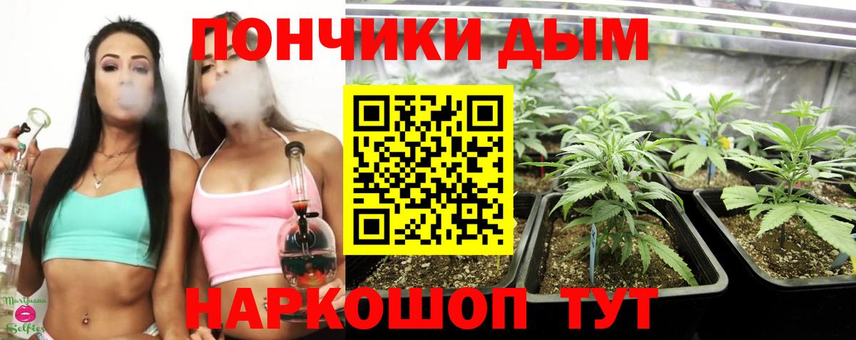 Новоуральск  Конопля SATIVA & INDICA  Вход с VPN  Марихуана гибрид  Канабис White Widow  Конопля THC 21% 